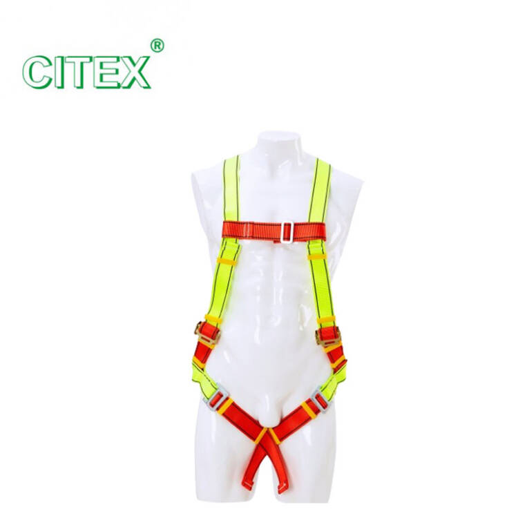Citex Full Body Harness - Image 4