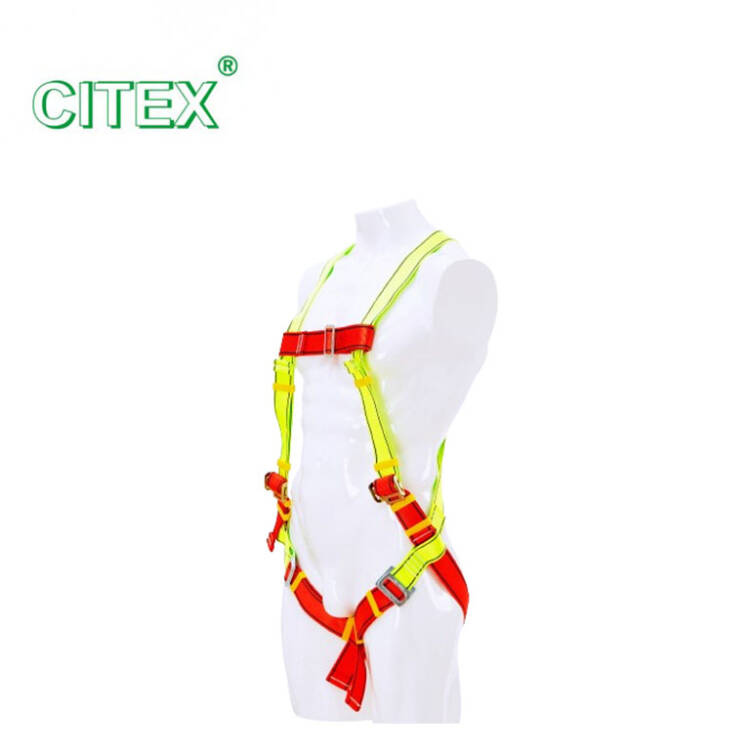 Citex Full Body Harness - Image 6