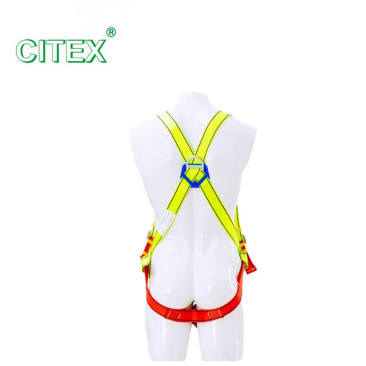 Citex Full Body Harness - Image 5